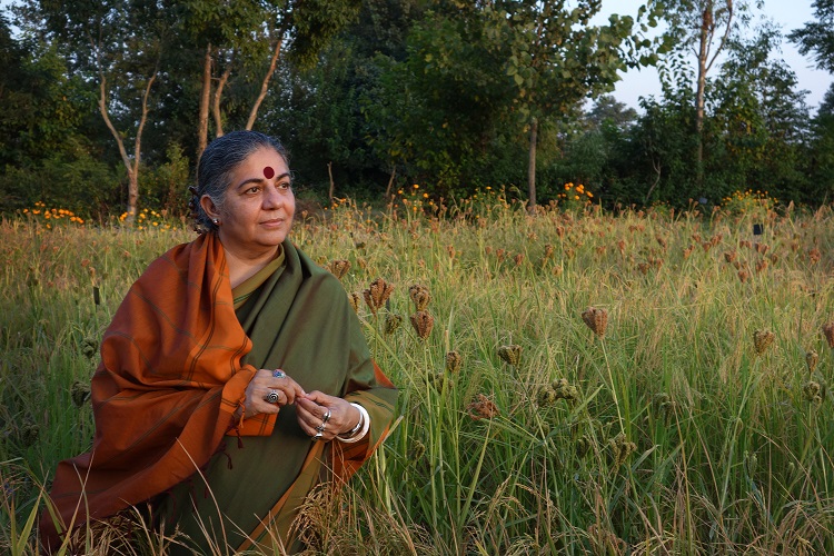 Vandana Shiva in SEED: The Untold Story (Photo courtesy of Collective Eye Films)